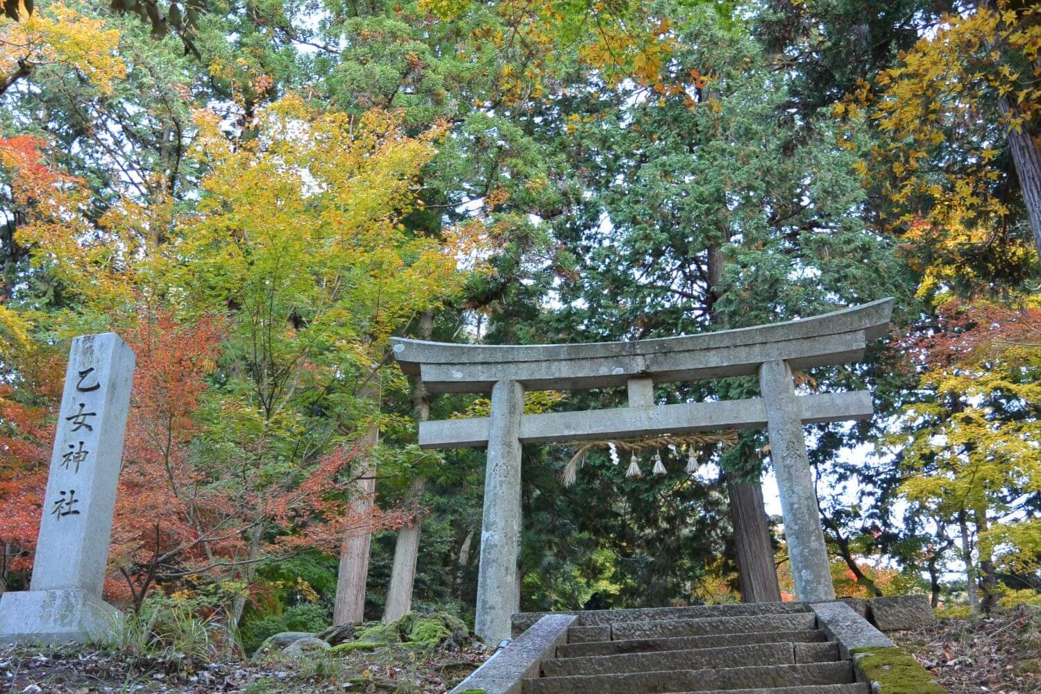 ⛩️ 소녀 신사 (오토메 진자) 이미지 2